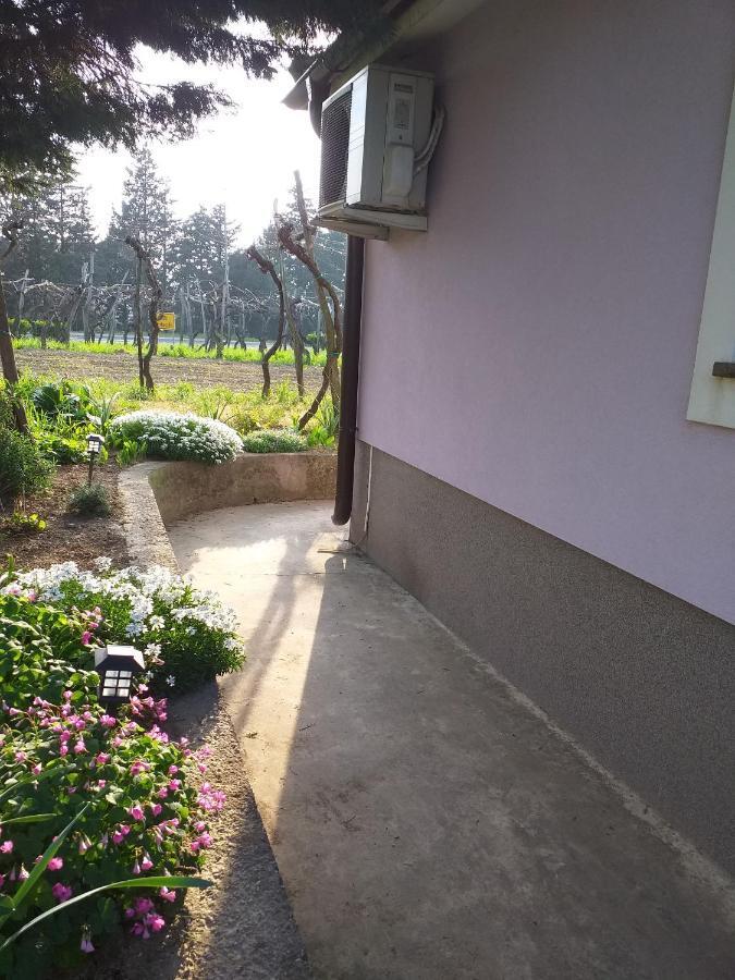 Apartmán Istra Koper Exteriér fotografie