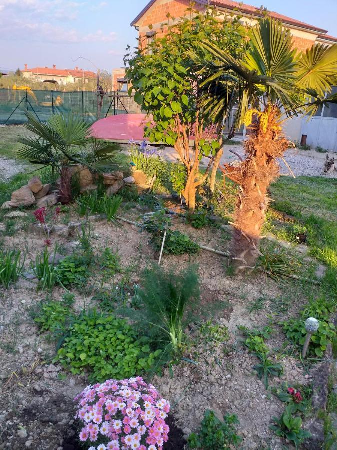 Apartmán Istra Koper Exteriér fotografie